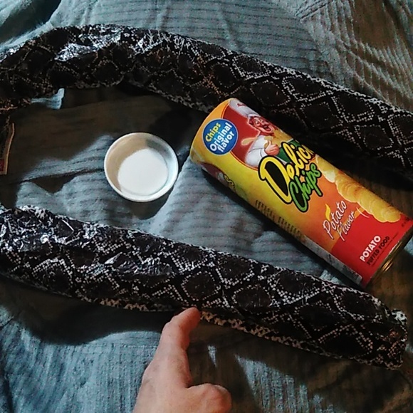 Prank Potato Chips Container - Picture 6 of 6